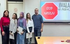 vrsnjacko nasilje